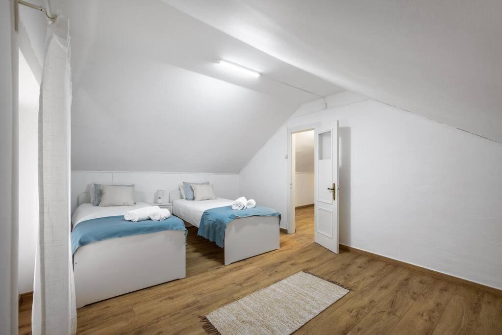 Apartamento Tipico - Vila Mafra 纳扎雷 外观 照片